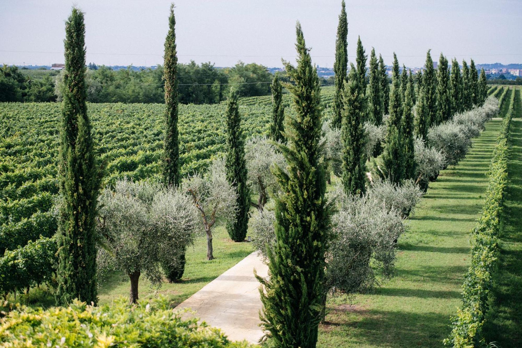 Dimora Buglioni Wine Relais Villa San Pietro in Cariano Exterior foto